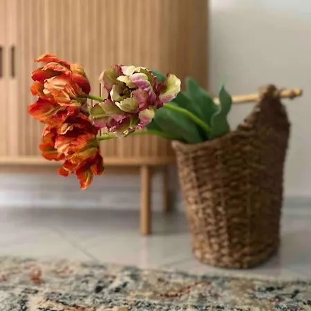 Scio Guesthouse-centro Storico